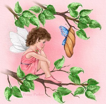 Fairy