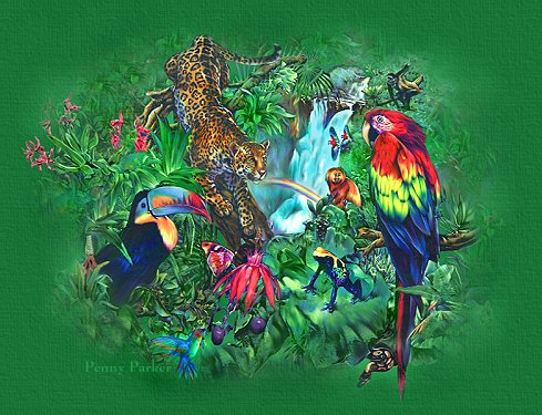 Jungle